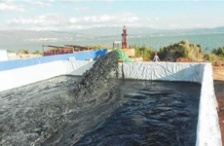  玉溪星云湖加快污染底泥疏挖，消除劣V類水質(zhì)