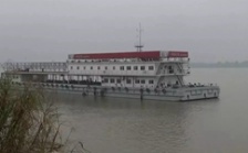  &ldquo;回頭看&rdquo;典型案例通報(bào)（一）丨安慶市江豚自然保護(hù)區(qū)不斷瘦身 &ldquo;水中大熊貓&rdquo;生境堪憂