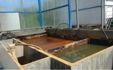  &ldquo;回頭看&rdquo;典型案例通報(bào)（二）丨湖北鄂州葛店開(kāi)發(fā)區(qū)敷衍整改 臭氣擾民問(wèn)題依然如故