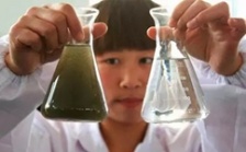  在沒有家用水質(zhì)檢測儀的情況下如何判斷凈水器水質(zhì)狀況