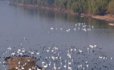  生態(tài)環(huán)境部召開(kāi)2018年上半年水環(huán)境質(zhì)量達(dá)標(biāo)滯后地區(qū)工作調(diào)度會(huì)