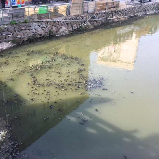  秋冬交替，污泥又到了換季膨脹的季節(jié)