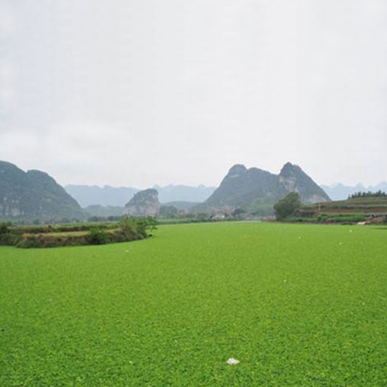  氣溫下降，我的氨氮超標(biāo)怎么辦