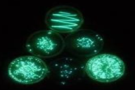 水質(zhì)生物毒性如何檢測(cè)