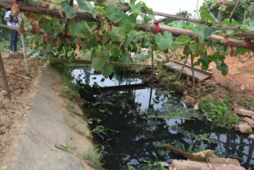 長(zhǎng)沙市后湖：徹底消除黑臭，實(shí)現(xiàn)&ldquo;長(zhǎng)治久清&rdquo;