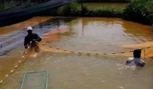 水渾了？不用怕，這五個方面讓水質恢復清新