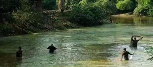 水渾了？不用怕，這五個方面讓水質恢復清新